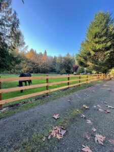 Metal mesh fence - 3