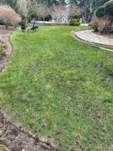 Lawn aeration